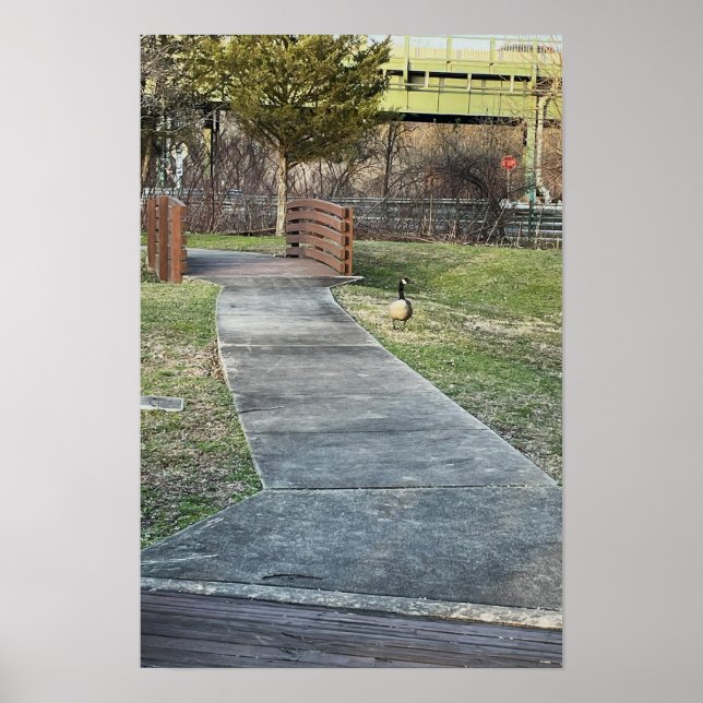Walking Bridge Poster (Vorne)