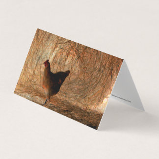 "Walking" - Digital erweitertes Foto Chicken & Hay