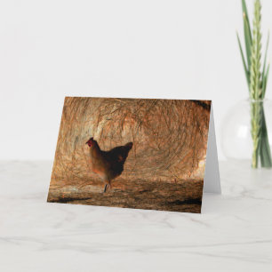 "Walking" - Digital erweitertes Foto Chicken & Hay Karte