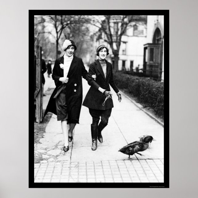 Walking Ducks in Washington, DC 1926 Poster (Vorne)