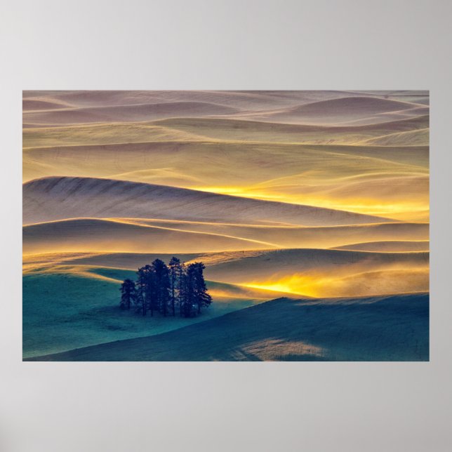 Walking-Hügel bei Sonnenaufgang | WA Poster (Vorne)