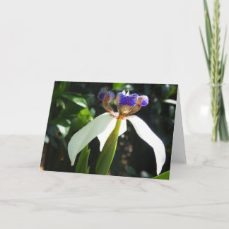 "Walking Iris 2." Grußkarte Karte