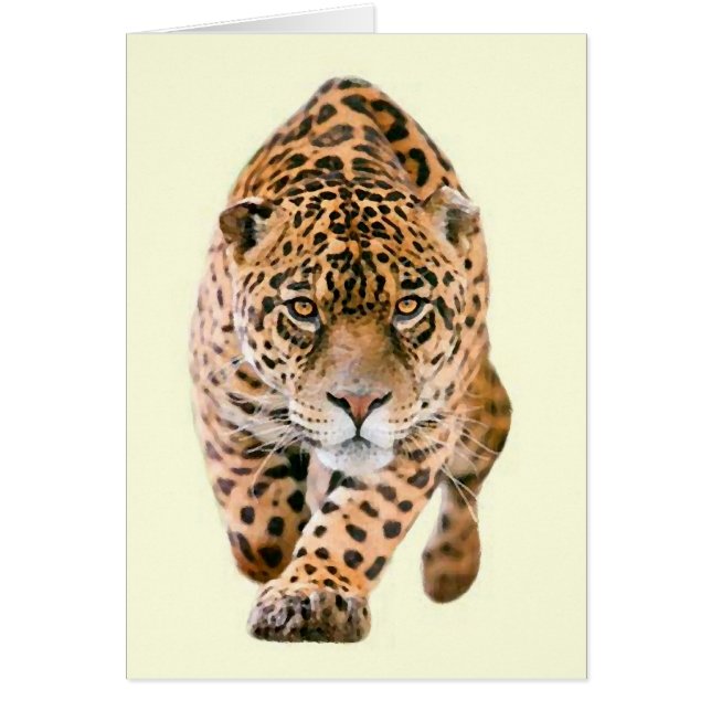 Walking Jaguar Eyes (Vorne)