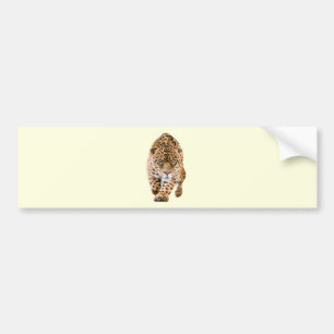 Walking Jaguar Eyes Autoaufkleber