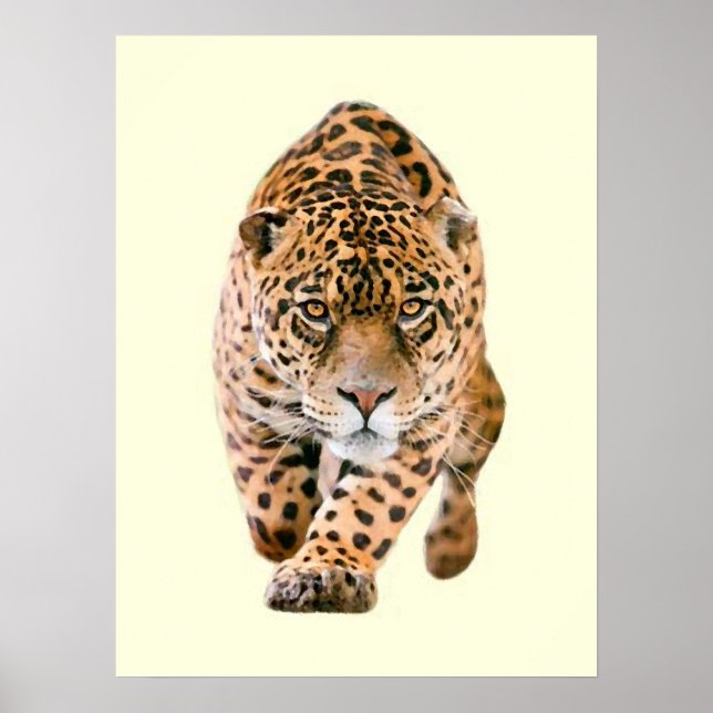 Walking Jaguar Eyes Poster (Vorne)