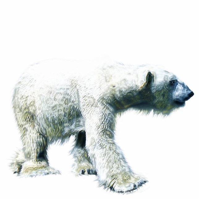 Walking POLAR BEAR (skulptiert) Wildlife Magnet Fotoskulptur Magnet (Vorne)