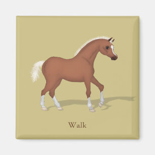 Walking Sorrel Foal Gaits of the Horse Magnet