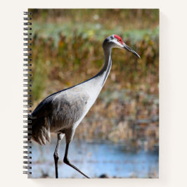Walking Tall - Sandhillkranich Notizbuch