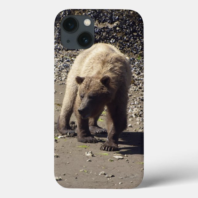 Walking Wild Grizzly Bär Wildlife Foto Case-Mate iPhone Hülle (Rückseite)