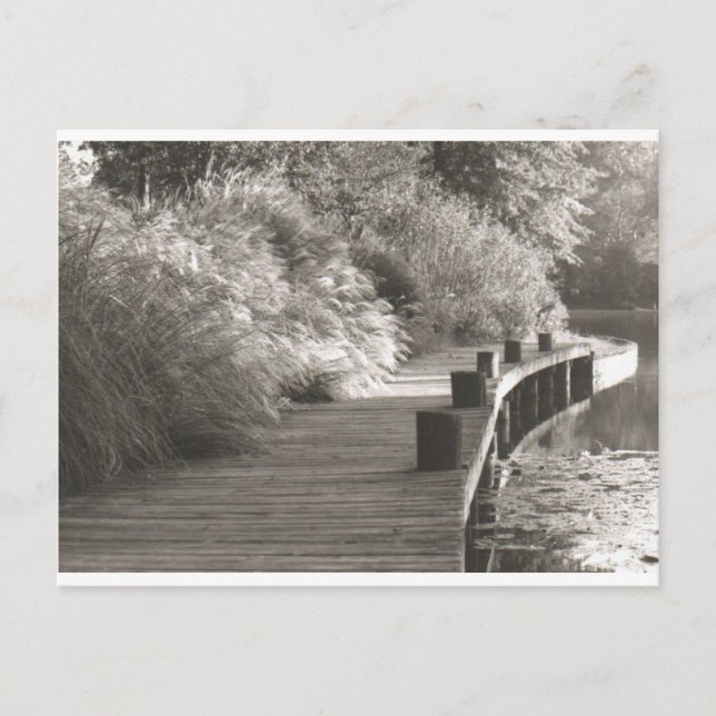 walkway.jpg postkarte (Vorderseite)