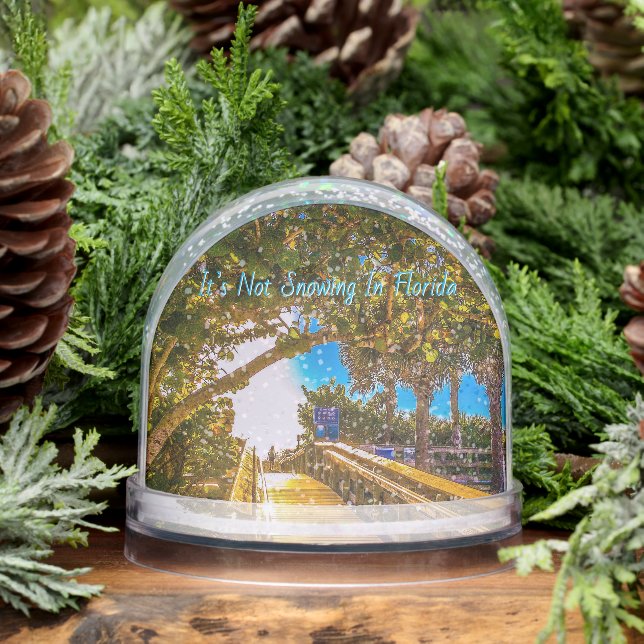 Walkway to the Beach Snow Globe Schneekugeln (Winter)