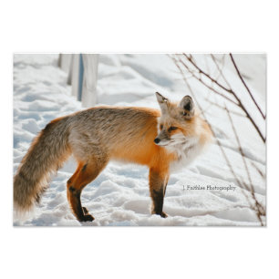 Wall Art Hunting Fox Print Fotodruck