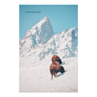 Wall Art Mountain Bison Print Fotodruck