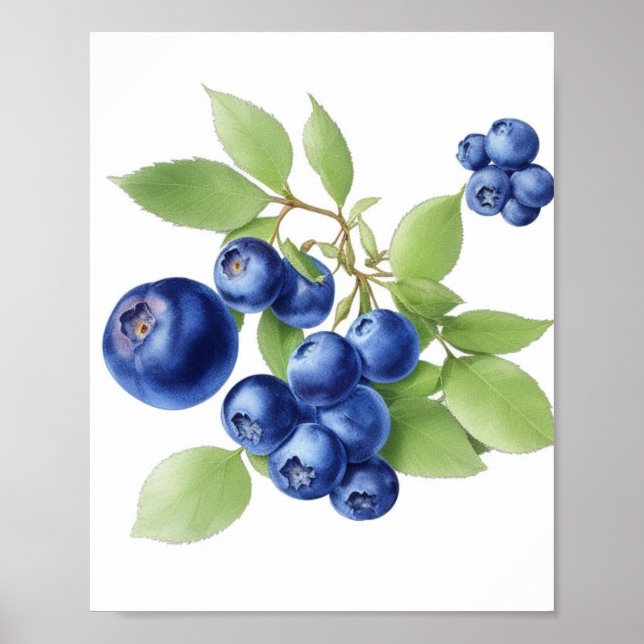 Wall Art Obstposter Poster (Vorne)