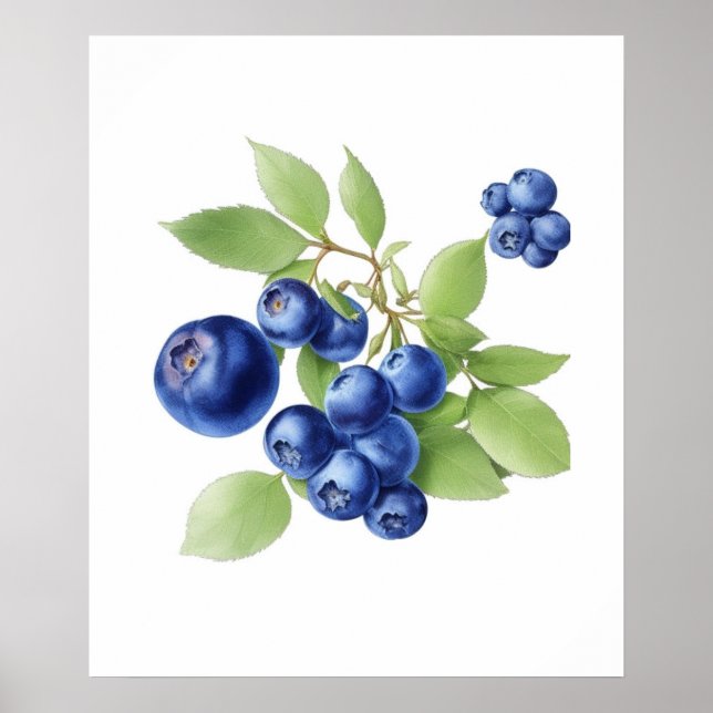 Wall Art Obstposter Poster (Vorne)