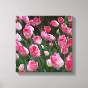 Wall Art Pink Tulips Leinwanddruck