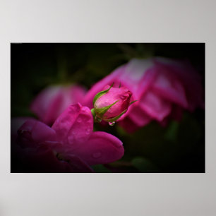 Wall Art Poster