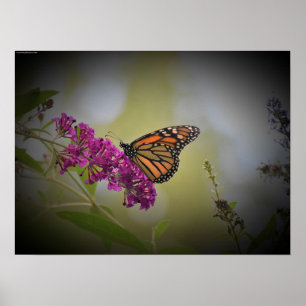 Wall Art Poster