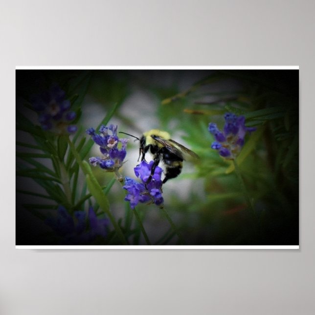 Wall Art Poster (Vorne)