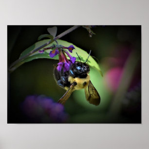 Wall Art Poster