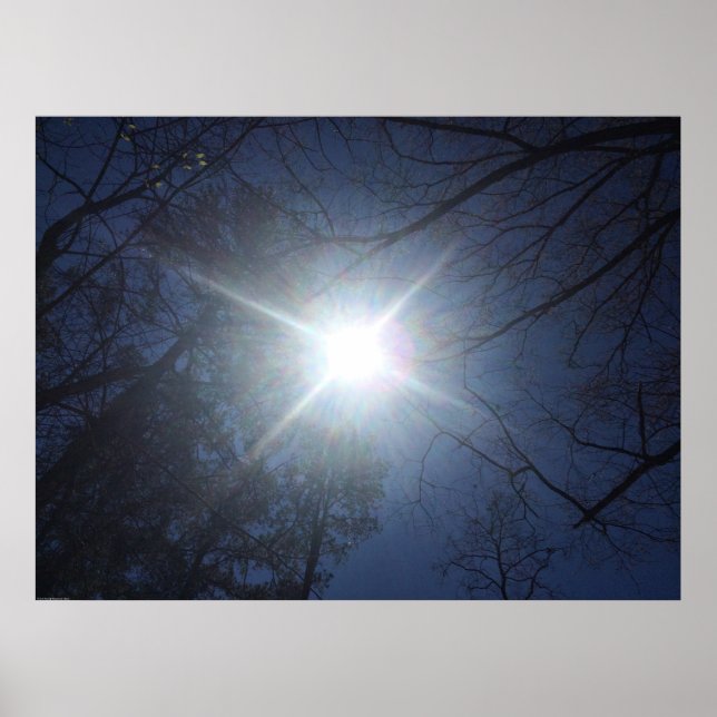 Wall Art Poster (Vorne)