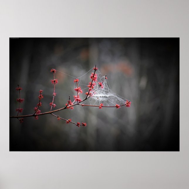 Wall Art Poster (Vorne)