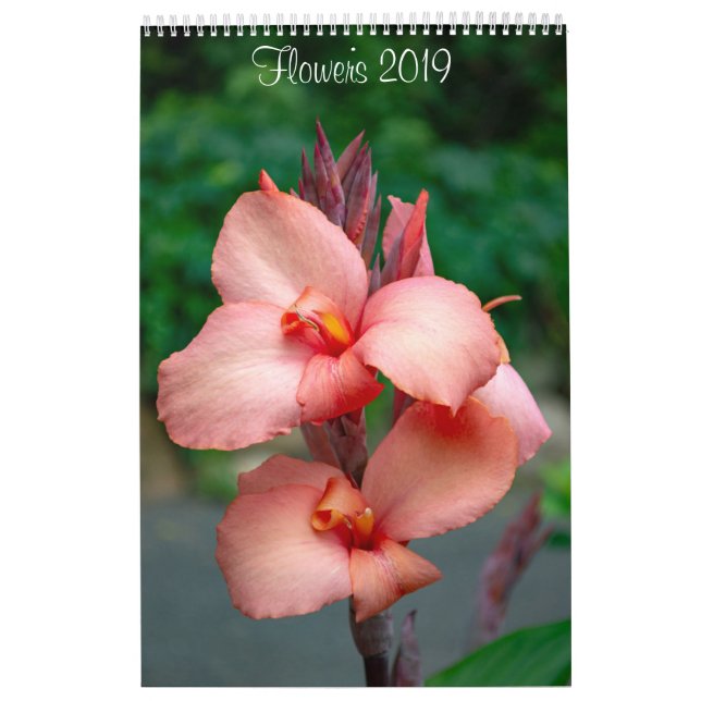 Wall Calendar 2019 Blume von Lisa Blake Kalender (Titelbild)