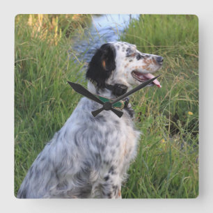 Wall Clock with Dogs of the Feather Llewellin Quadratische Wanduhr