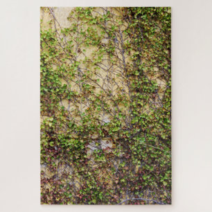 Wall Coverage - Irland Puzzle