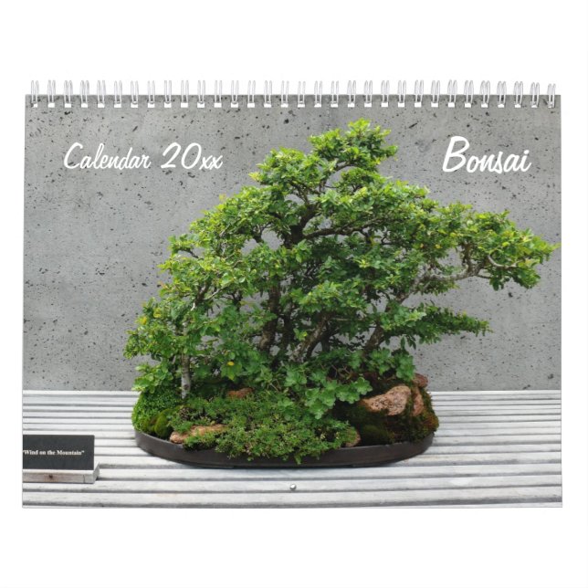 Wall-Kalender mit Bonsai Kalender (Titelbild)