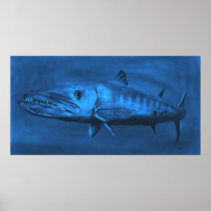 WALL SIZZIERT - Riesiges blaues Barracuda Poster