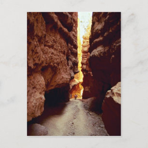 Wall Street, Bryce National Park, Utah Rock Format Postkarte