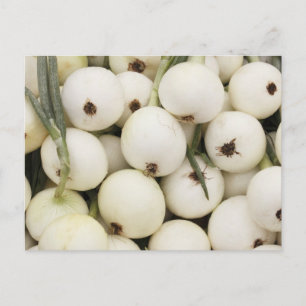 Walla Walla Sweet Onions Postkarte