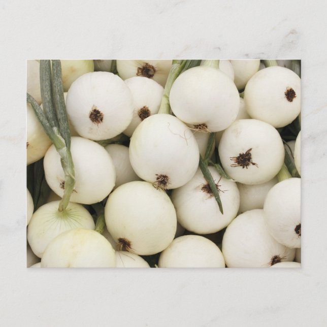 Walla Walla Sweet Onions Postkarte (Vorderseite)