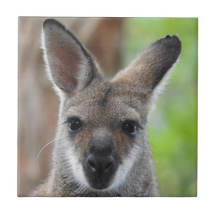 Wallaby-Fliese Fliese