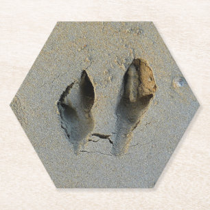 Wallaby Footprints in Sand Untersetzer