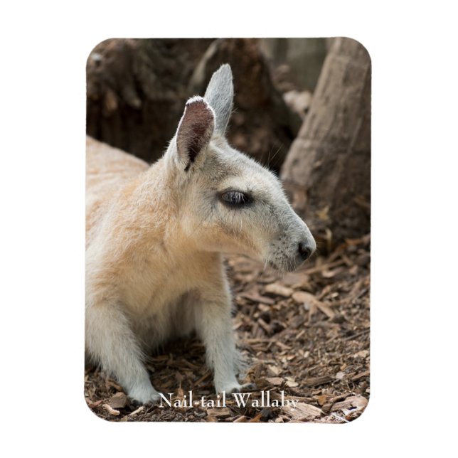 Wallaby Profile Magnet (Vertikal)