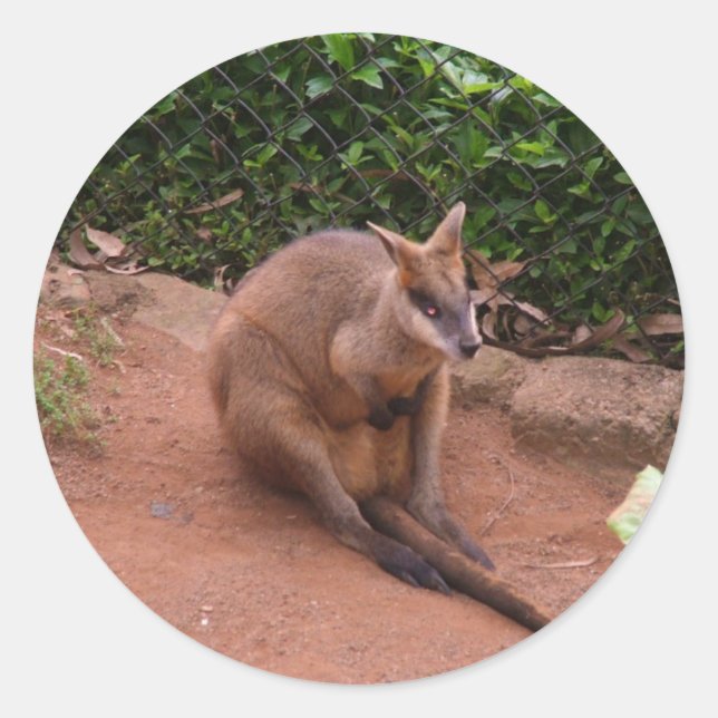 Wallaby Runder Aufkleber (Vorderseite)