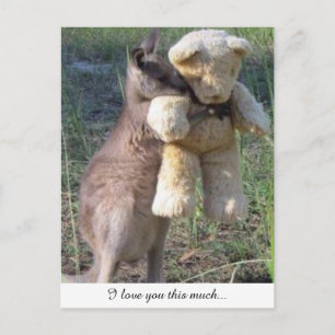 Wallaby umarmt Teddybear Postcard Liebe Postkarte