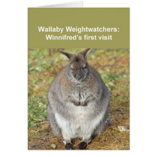 Wallabykarte