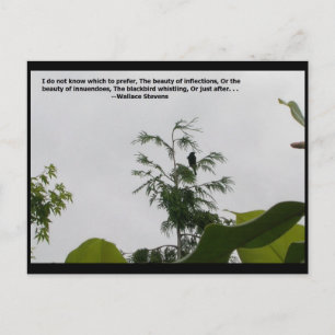Wallace Stevens Zitat Postkarte