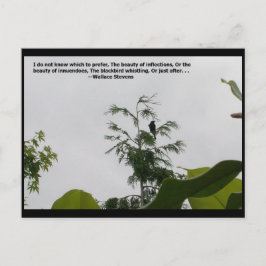 Wallace Stevens Zitat Postkarte