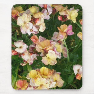 Wallblumen Mousepad
