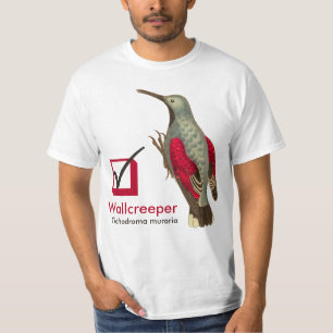 Wallcreeper Tichodroma muraria auf meinem T-Shirt