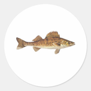 Walleye Art Runder Aufkleber