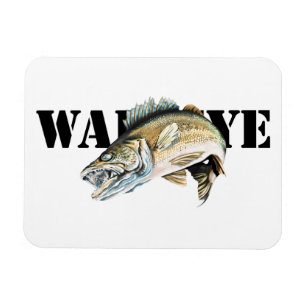 Walleye Magnet