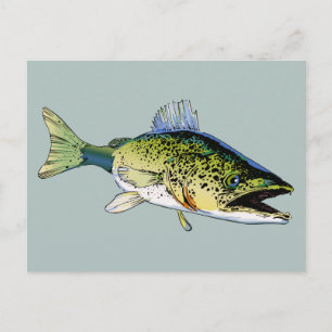 Walleye Postkarte