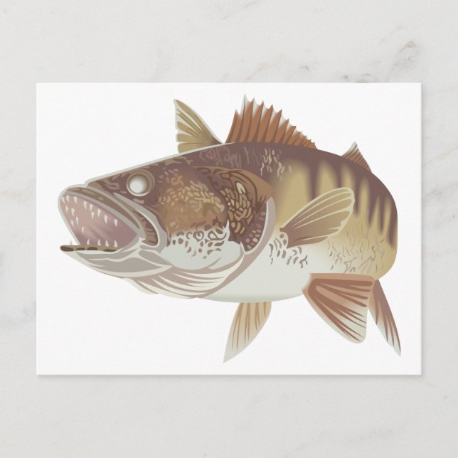 Walleye Postkarte (Vorderseite)