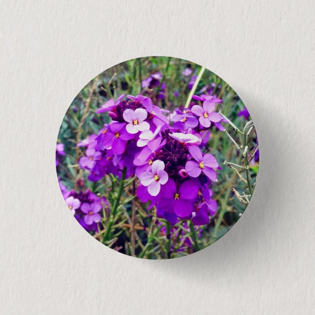 Wallflower Bowles Mauve #1 Button (Vorderseite)