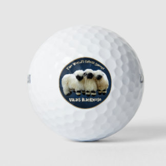 Wallis Blacknowledged - Das Niedlichste Schaf der  Golfball
